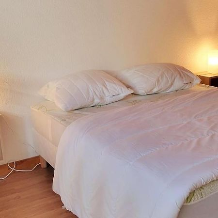 Duplex 4/6P Le Familial Lejlighed Laveissière Eksteriør billede