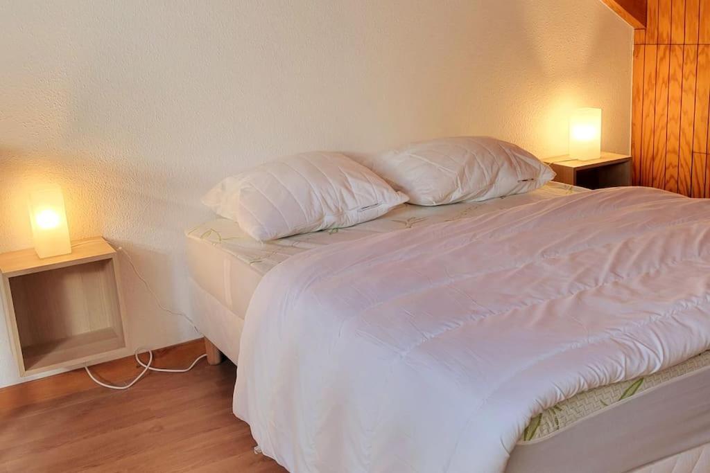 Duplex 4/6P Le Familial Lejlighed Laveissière Eksteriør billede
